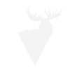 The Digital Moose Logo